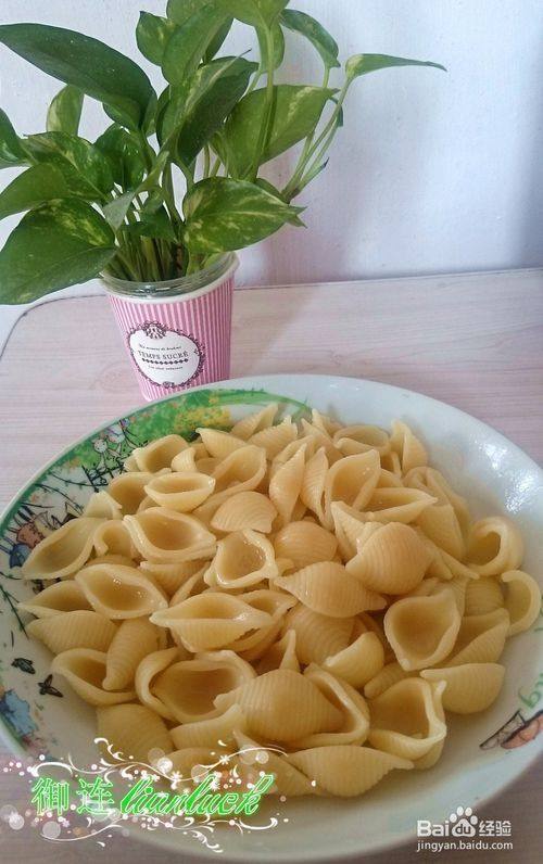 White Sauce Mushroom Chicken Italian Conchiglie Pasta (=＾● w ●＾=) Cooking Steps