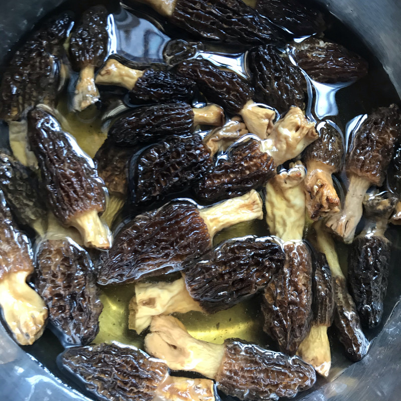 Steps for cooking Sautéed Qingcai with Morel Mushrooms