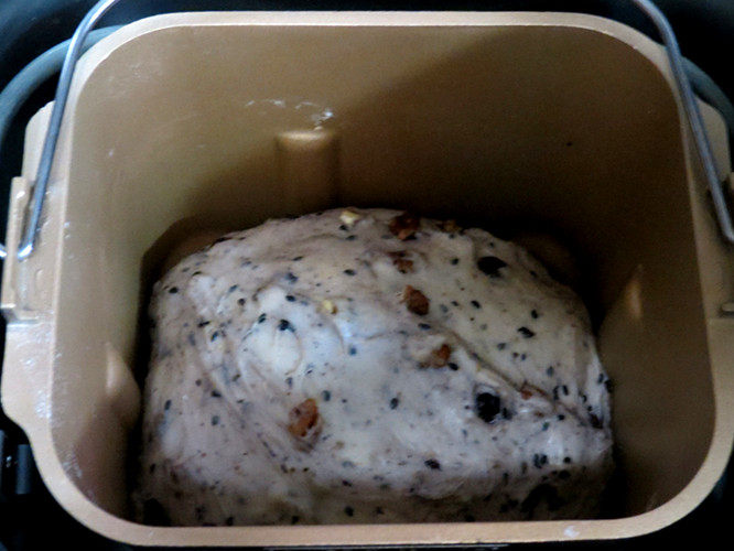 Steps for making Healthy and Rustic Whole Wheat Blueberry and Pecan Soft European Bread