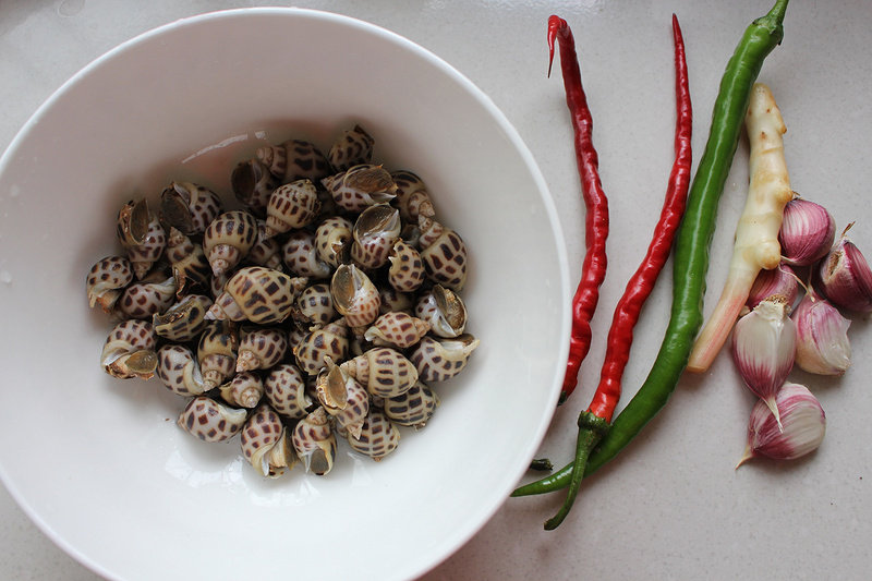 Steps for Making Spicy Stir-Fried Snails