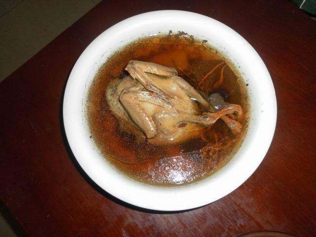 Braised Pigeon in Double-Boiled Soup