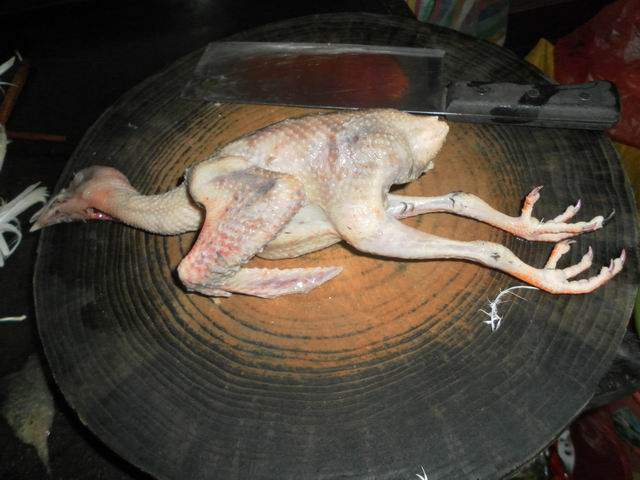 Steps for Braised Pigeon in Double-Boiled Soup