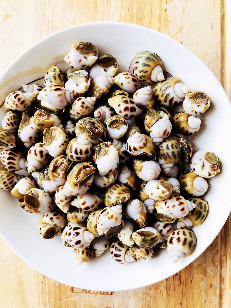 Steps for Making Salt Boiled Conch