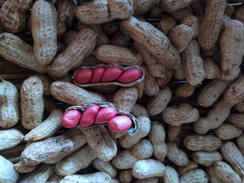 Steps to Make Vinegar-Soaked Peanuts