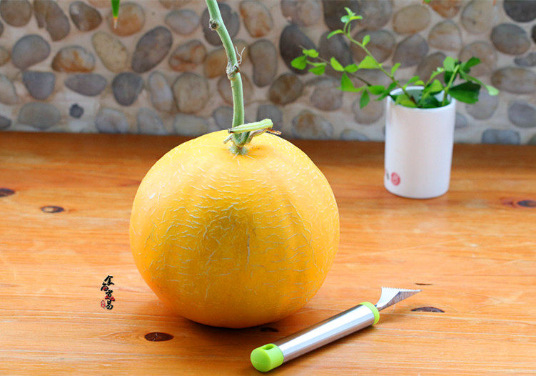 Steps for Making Ice Cream Melon Bowl