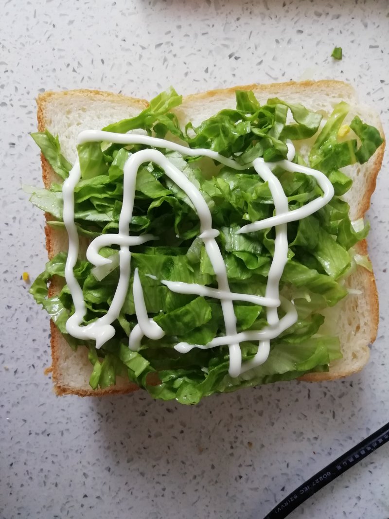 Steps for Making Homemade Sandwich