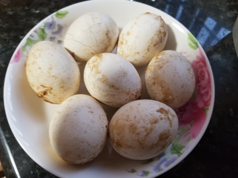 Steps for Cooking Korean-style Grilled Eggs in Rice Cooker