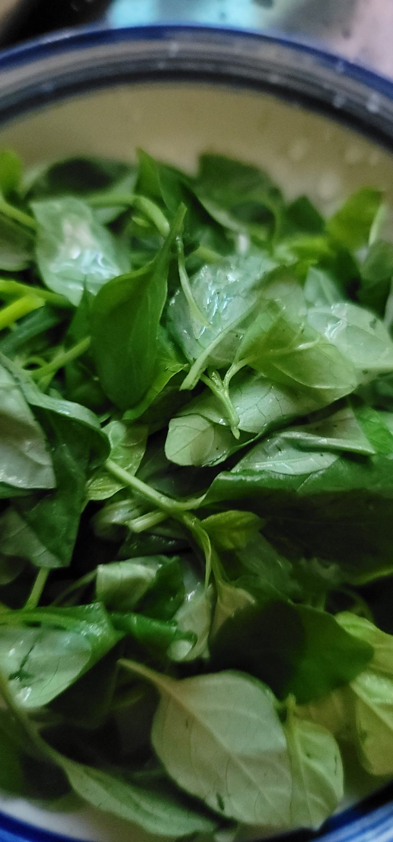 Steps for Making Goji Leaf and Pig Liver Congee