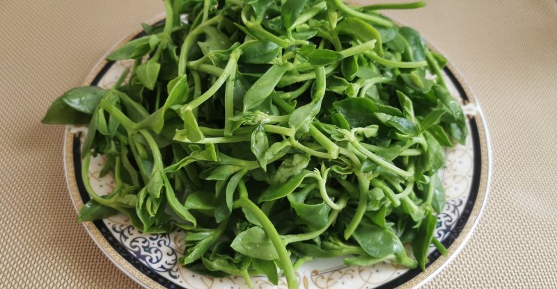 Detailed Steps for Stir-fried Field Seven Seedlings