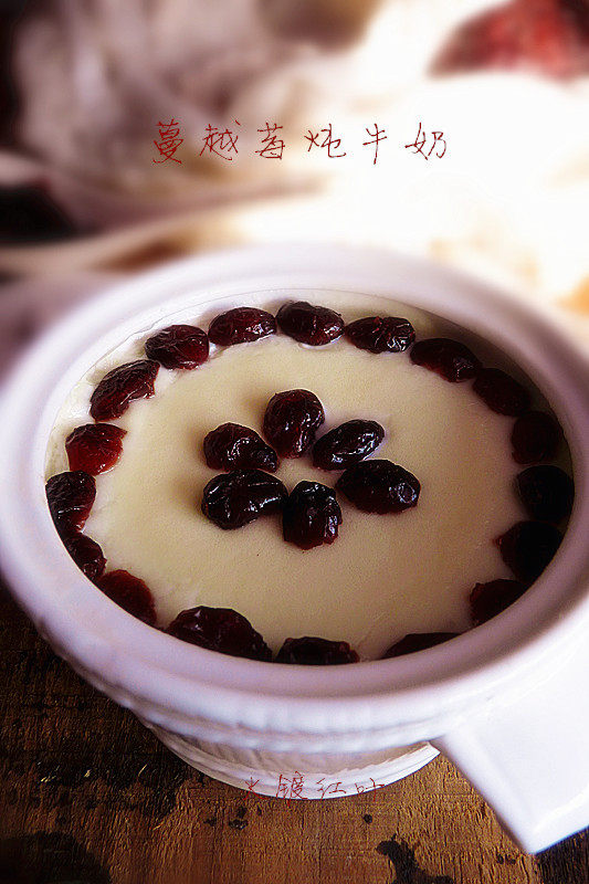 Cranberry Milk Pudding