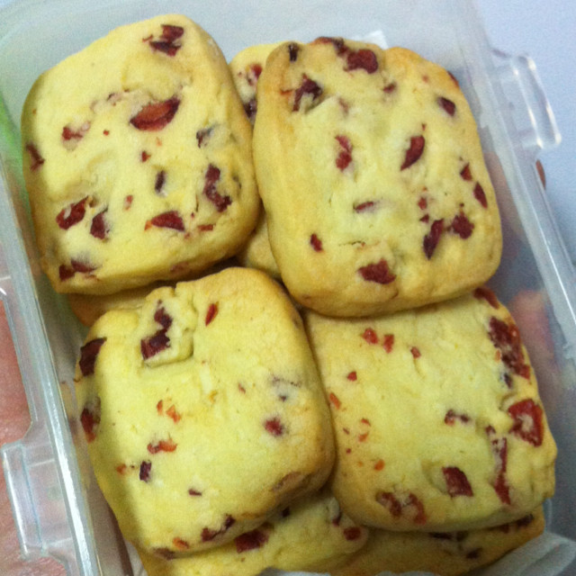 Cranberry Cookies (Mildly Sweet)