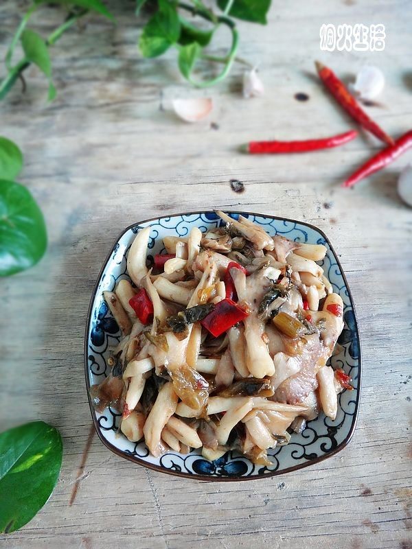 Sour Pickled Vegetable Stir-Fried Trumpet Mushrooms