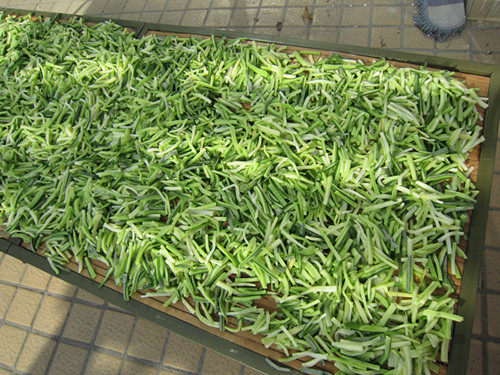 Crispy Pickled Vegetables - Spicy Radish Strips Making Steps