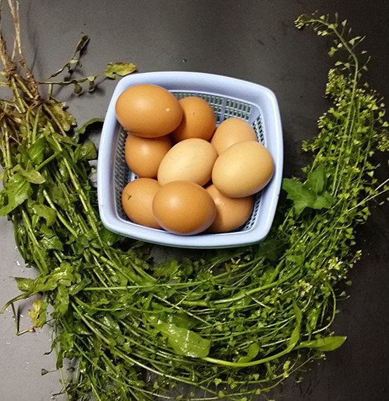 Step-by-Step Instructions for Chive Flowers with Boiled Eggs