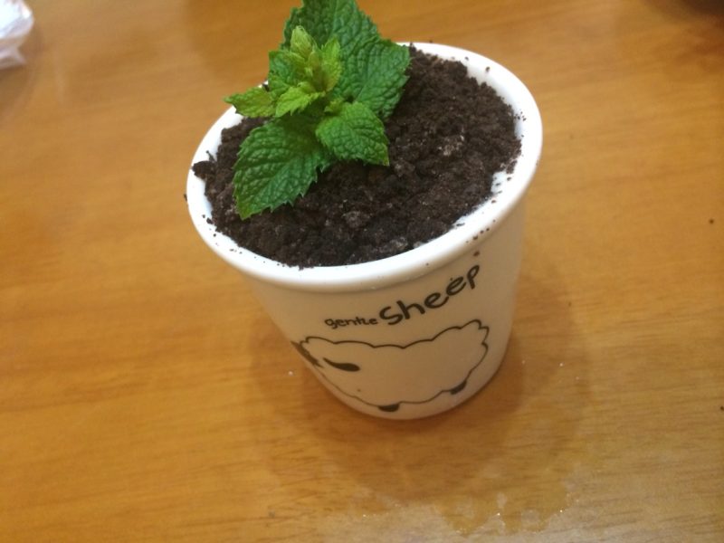 Steps to Make Bonsai Ice Cream