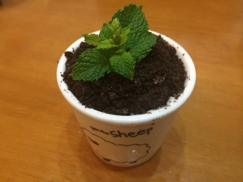 Steps to Make Bonsai Ice Cream