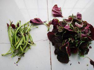 Steps for Making Stir-fried Red Amaranth with Garlic