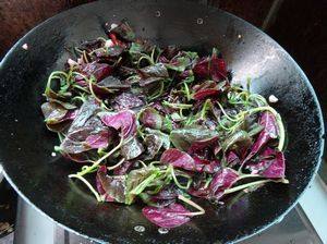 Steps for Making Stir-fried Red Amaranth with Garlic