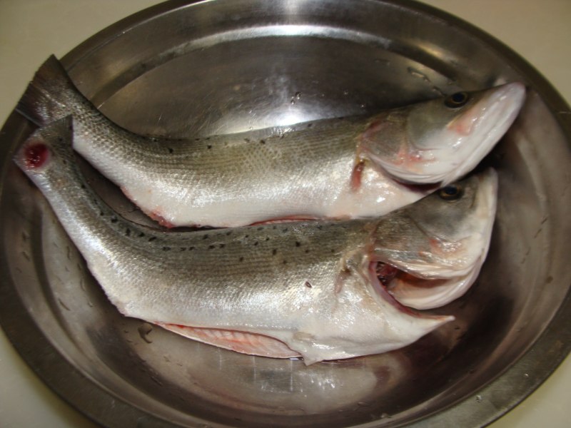 One Fish Two Dishes - Crispy Fried Fish Fillet Step-by-Step