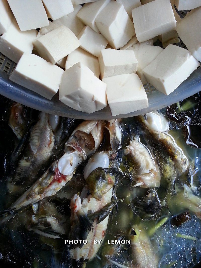 Step-by-Step Cooking of Yellow Catfish Stewed Tofu