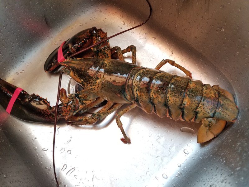 Garlic Cheese Baked Lobster Cooking Steps