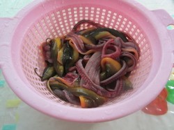 Steps for Cooking Stir-Fried Eel with Green Onions