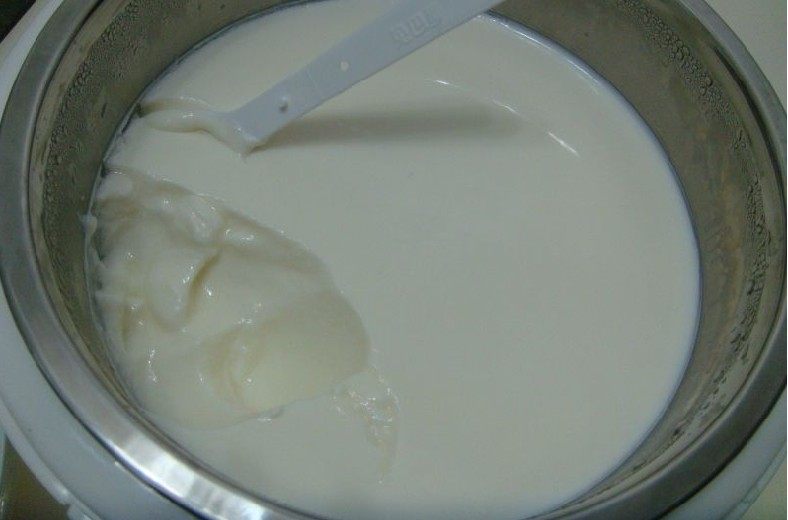 Simple Yogurt