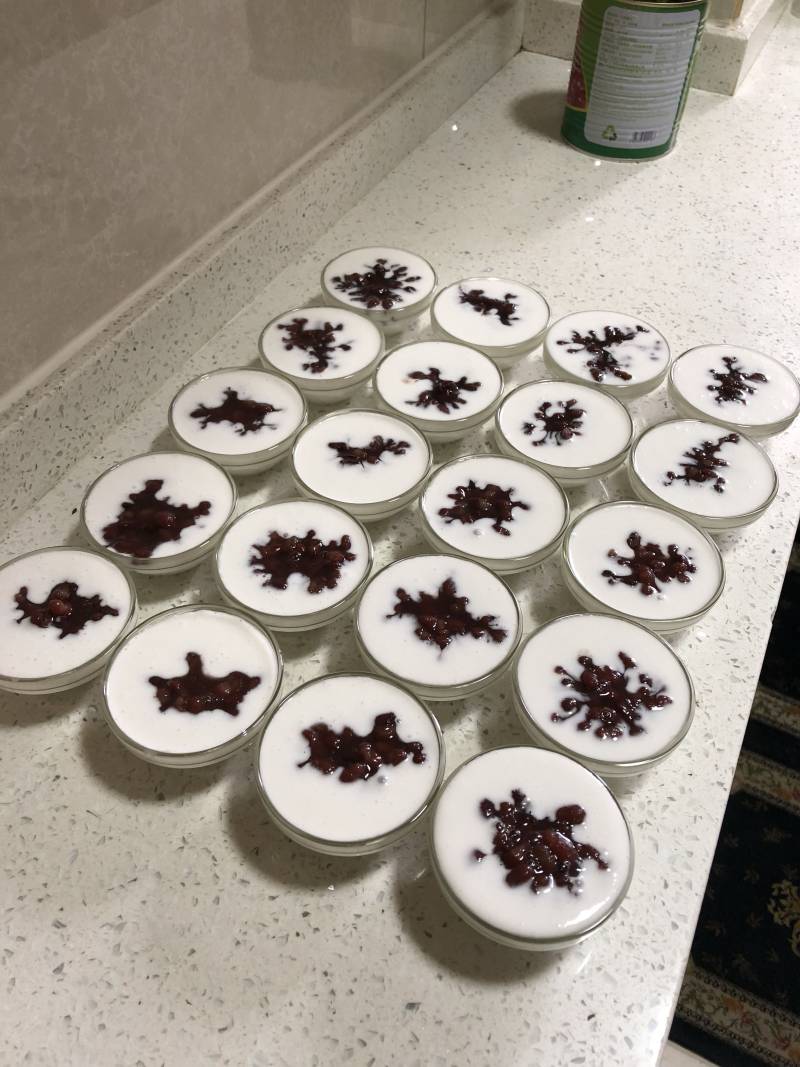 Coconut Milk Red Bean Pudding Making Steps