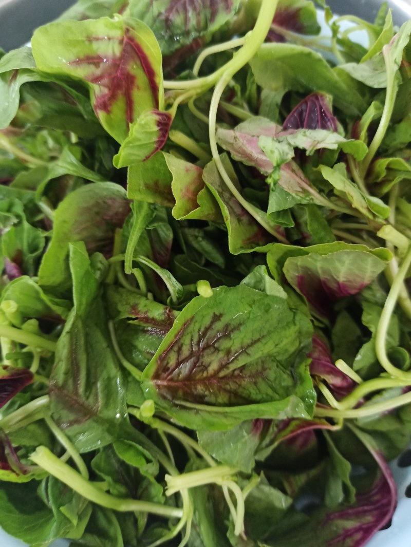 Steps for making Stir-fried Red Amaranth with Garlic