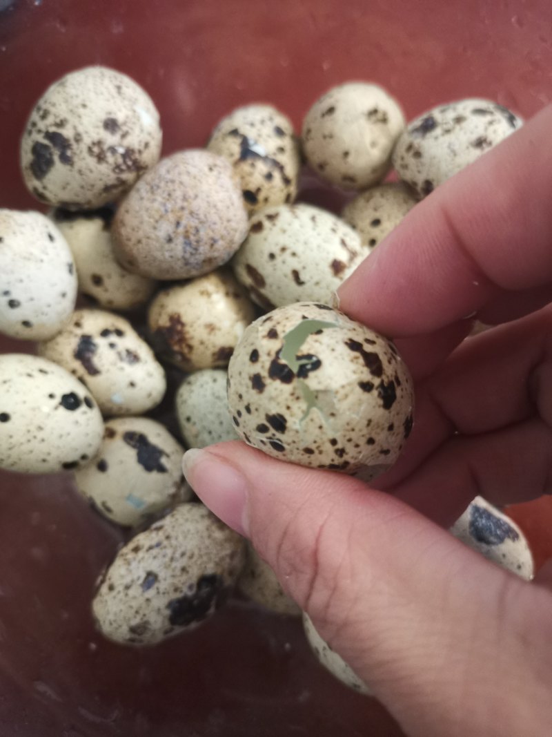 Wealthy with Quail Eggs - Cooking Steps