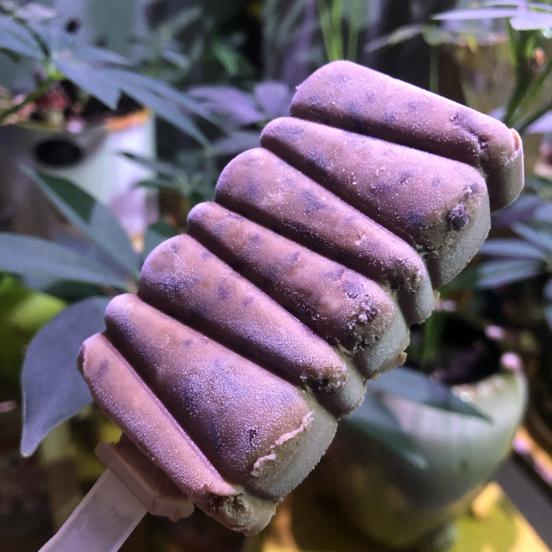 Red Bean 'Popsicle'