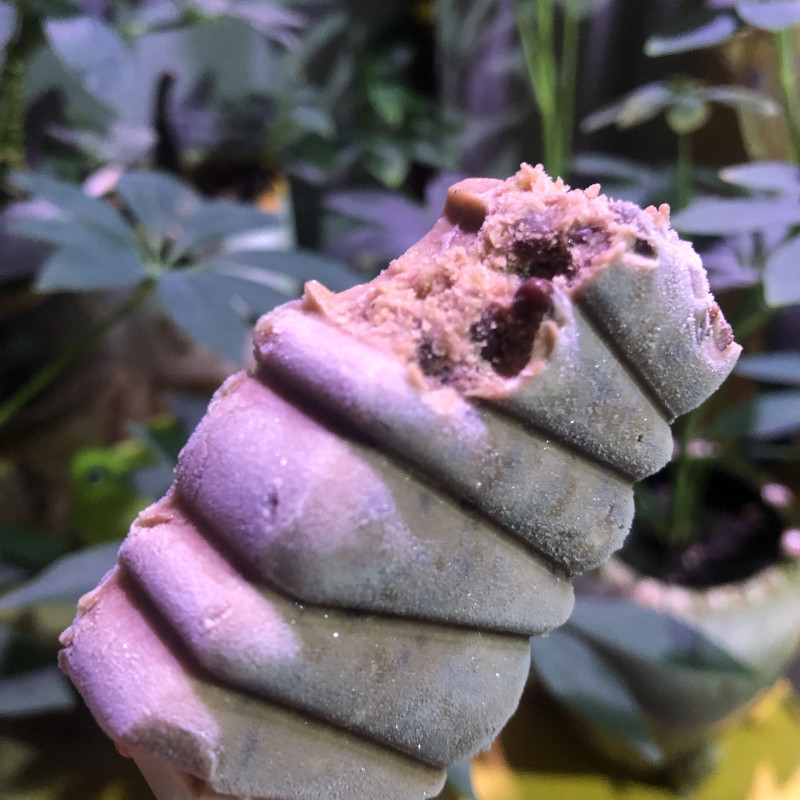 Red Bean 'Popsicle'