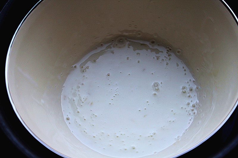 Yogurt Mousse Making Steps