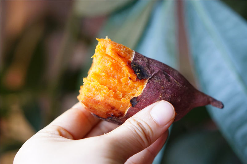 Clay Pot Roasted Sweet Potatoes