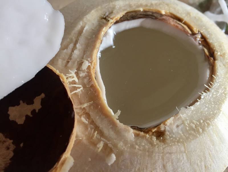 Step-by-Step Guide to Easily Open a Young Coconut