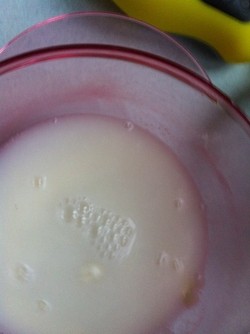 Steps for Making Smooth Milk Pudding