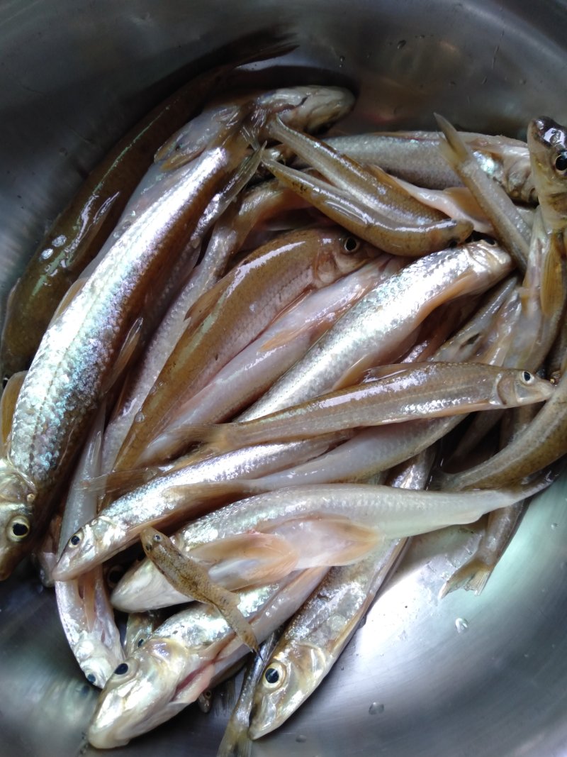 Steps for Making Crispy Fried River Fish