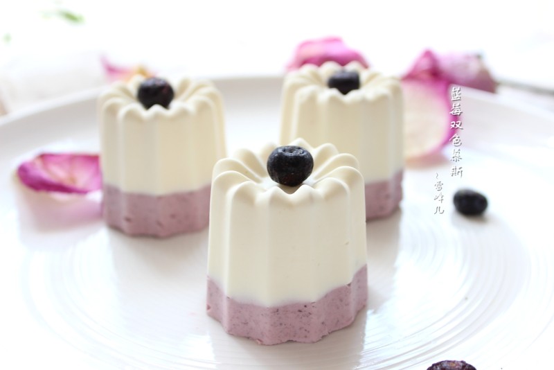 Blueberry Bicolor Mousse