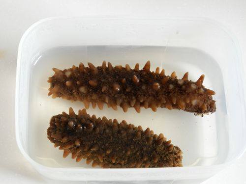 Lv Cuisine Delicacy - Minced Meat Sea Cucumber - Cooking Steps