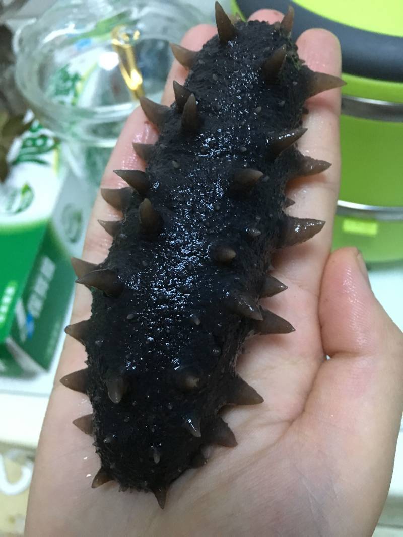 Soaked Sea Cucumber