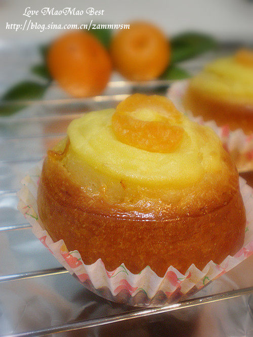 Custard Sweet Roll (Orange Flavor)