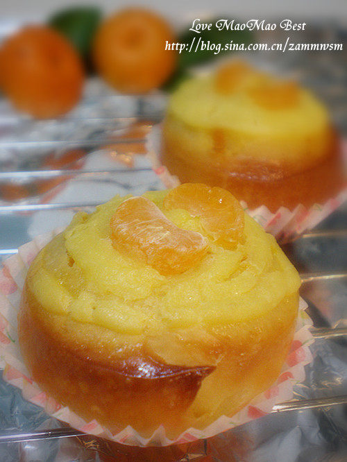 Custard Sweet Roll (Orange Flavor)