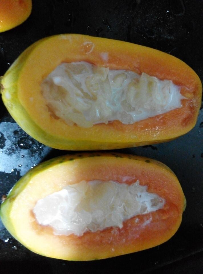 Steps for Cooking Fresh Milk Papaya with Snow Fungus