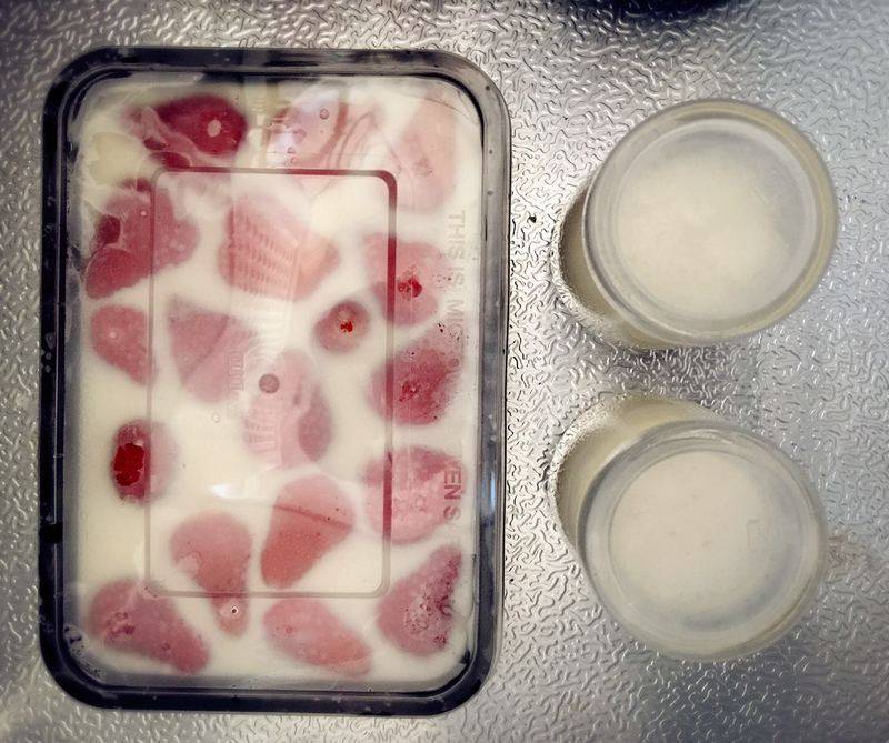 Strawberry Milk Panna Cotta Making Steps