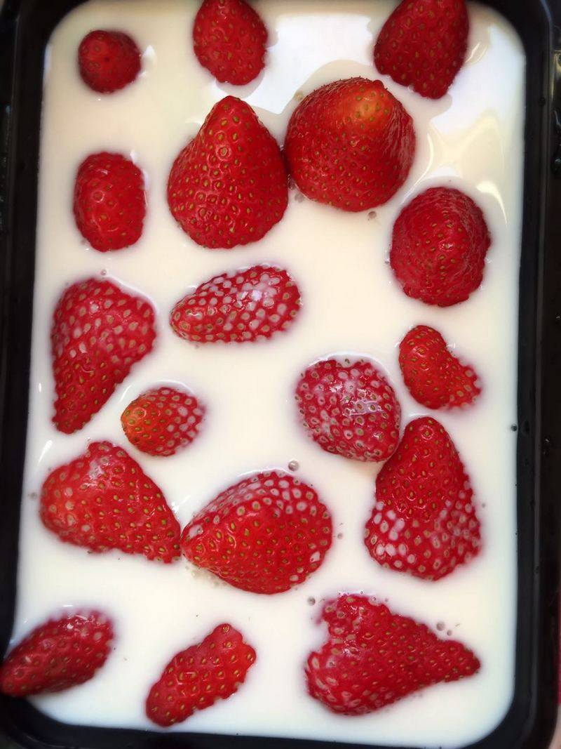 Strawberry Milk Panna Cotta Making Steps