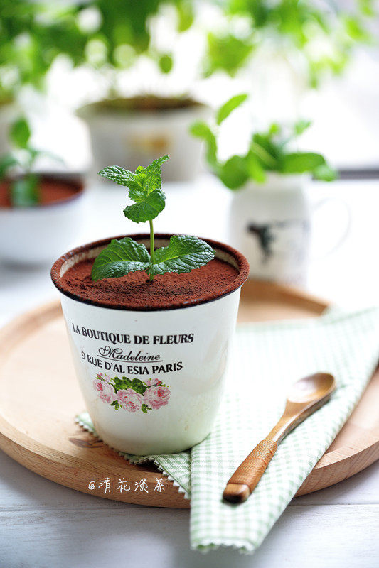 Realistic Potted Plant Cake