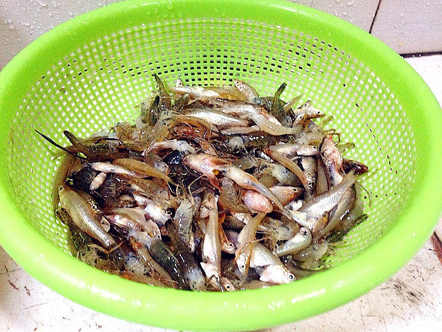 Steps for Cooking Dry-Fried Spicy Small Fish