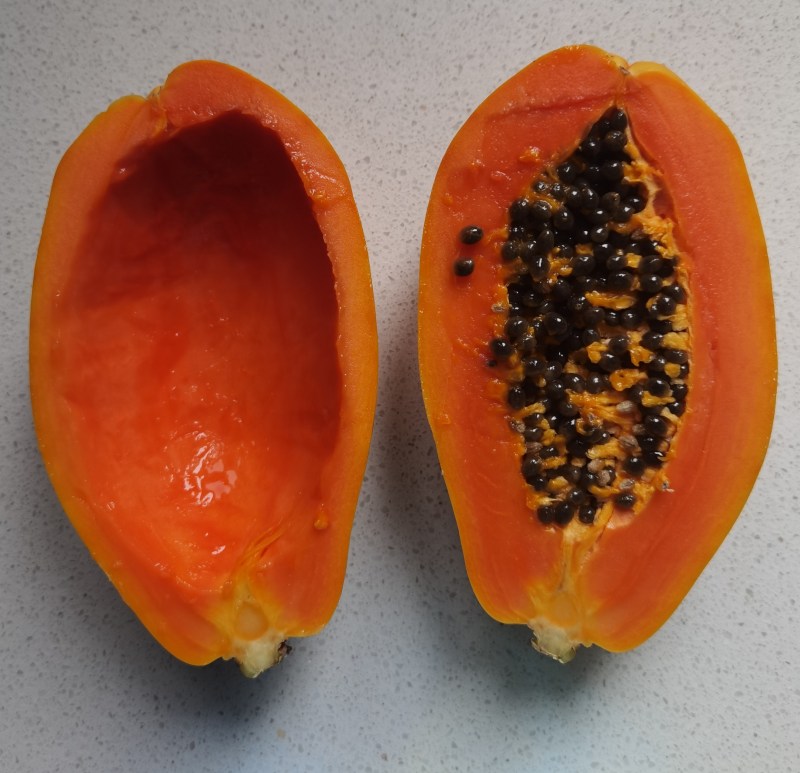 Steps for making Papaya Red Date Stewed Fresh Milk