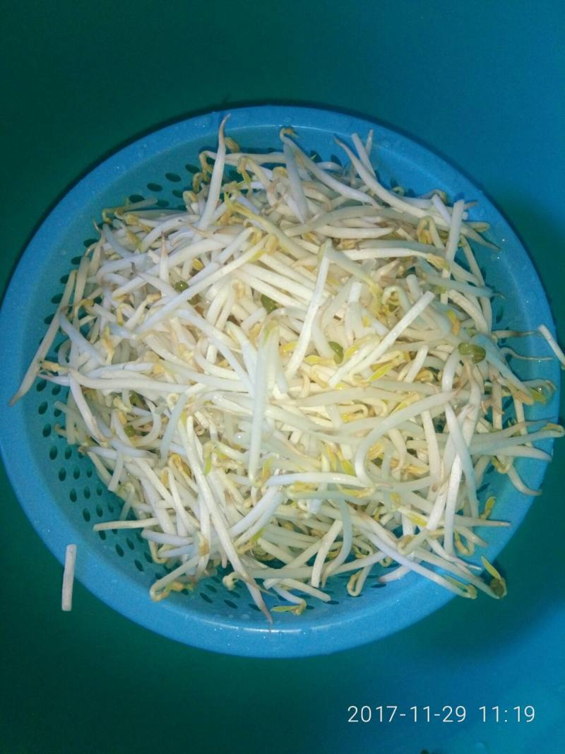 Stir-Fried Bean Sprouts with Sweet Potato Vermicelli - Step 1