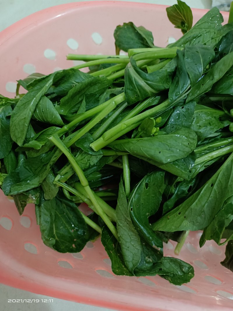 Steps for Making Stir-Fried Canola